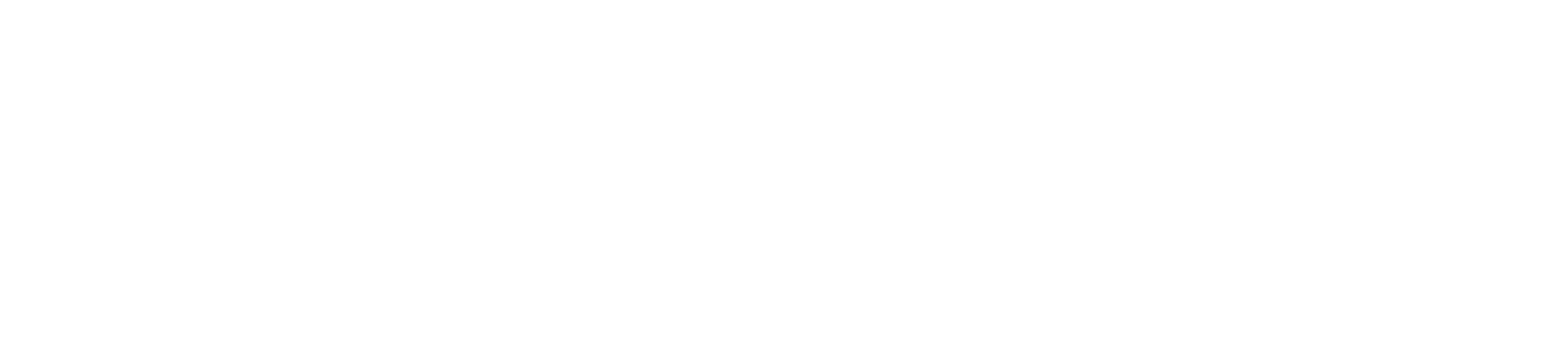 Revolut als Zahlungsmethode bei Twindor Wetten
